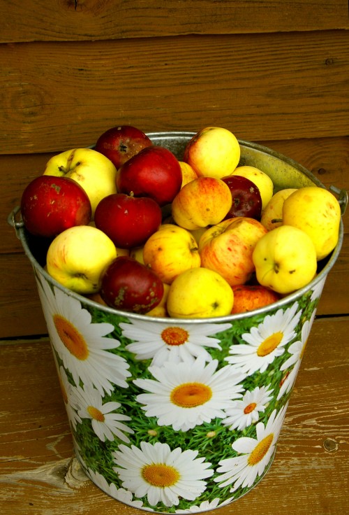 Сладкие яблочки 4 сентября