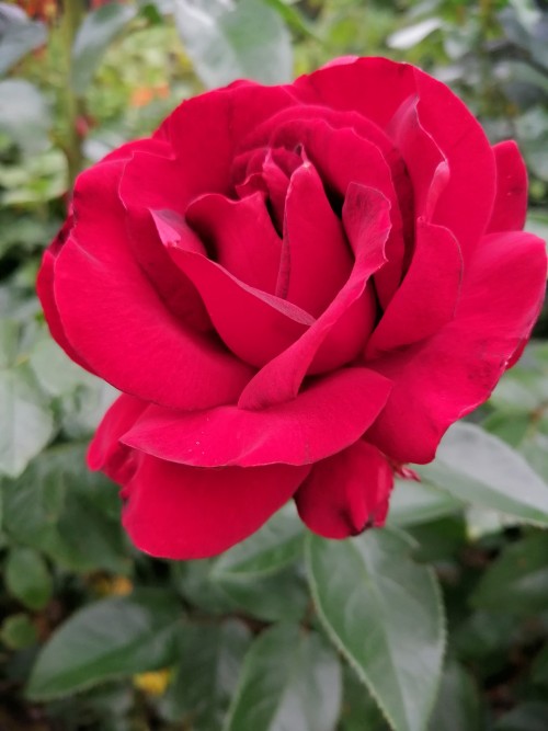 IMG_20230707_140318.jpg